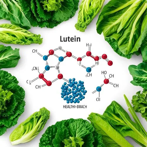 lutein powder 3 lutein powder 3