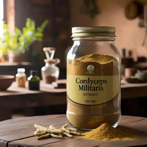 cordyceps militaris extract cordyceps militaris extract