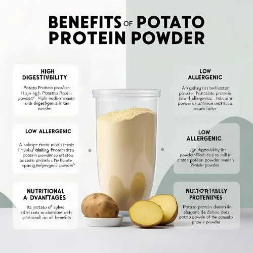 potato protein powder potato protein powder