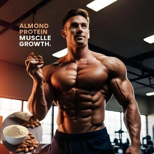 almond protein muscle growth almond protein muscle growth