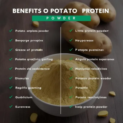 Benefits of Potato Protein Powder