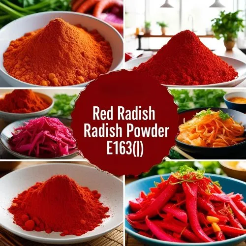 Red radish4 Red radish4