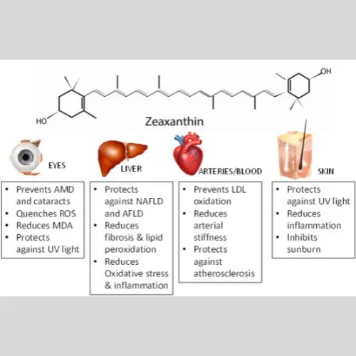  meso zeaxanthin powder