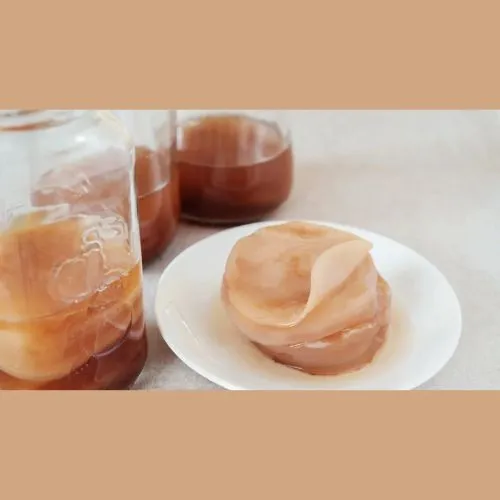 kombucha powder for food kombucha powder for food