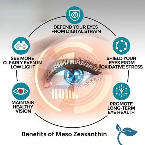 blog-1-1Meso Zeaxanthin blog-1-1Meso Zeaxanthin