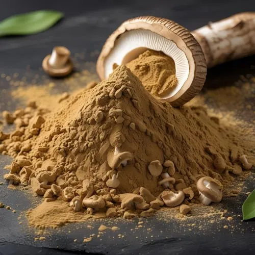 lions Mane Mushroom1 lions Mane Mushroom1