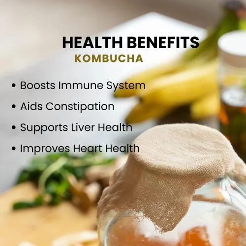 kombucha powder benefits