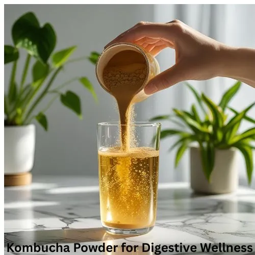 kombucha powder digestive wellness kombucha powder digestive wellness