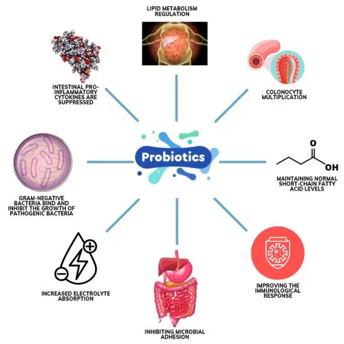 yeast extract3 yeast extract3