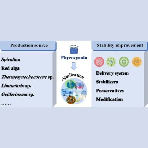 phycocyanin immune health