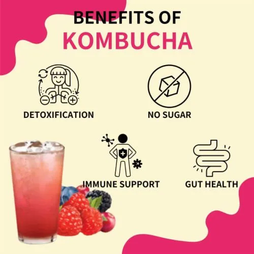 kombucha powder kombucha powder