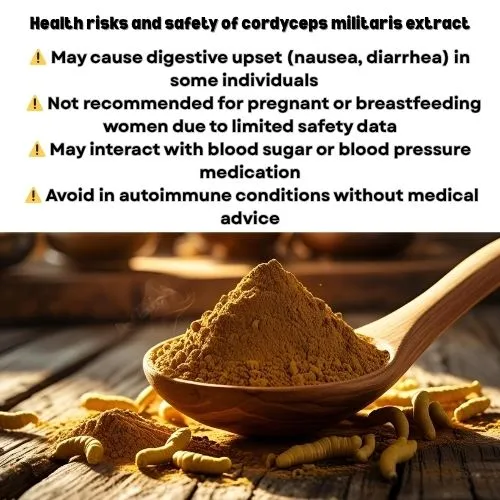 Health risks and safety of cordyceps militaris extract