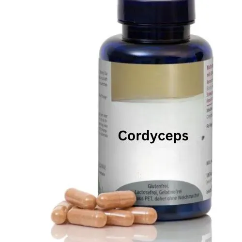 cordyceps militaris effect