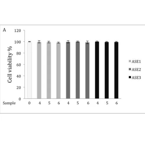 chaga powder5 chaga powder5