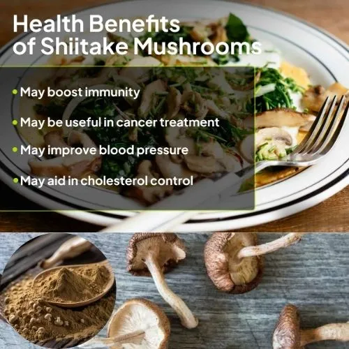 shiitaki mushroom benefits