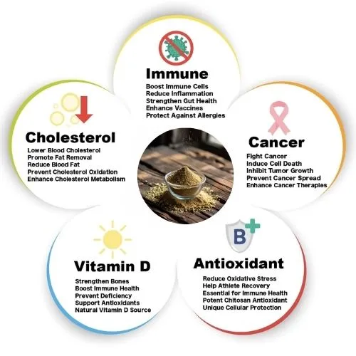 shiitake mushroom boost