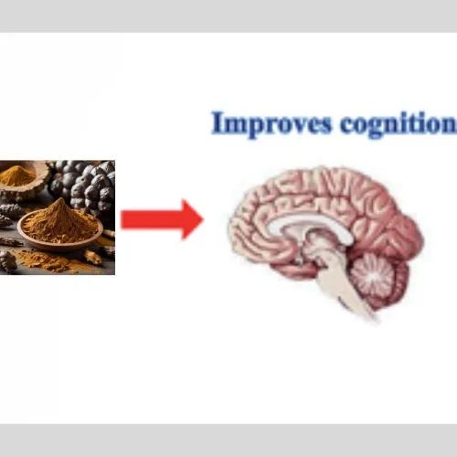 chaga in mind chaga in mind