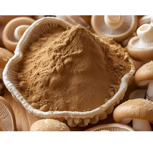 shiitake mushroom extract1