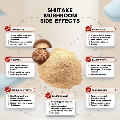 Shiitake Side Effects: What You Need to Know?