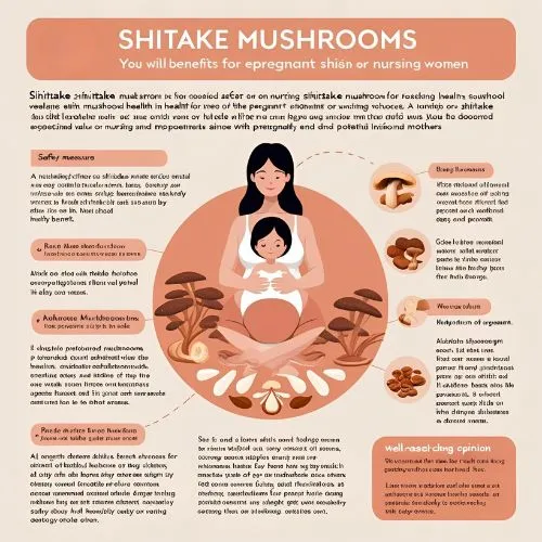 Is Shiitake Safe for Pregnant or Nursing Women?