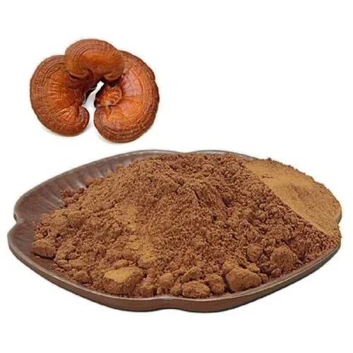 ganoderma lusidum extract