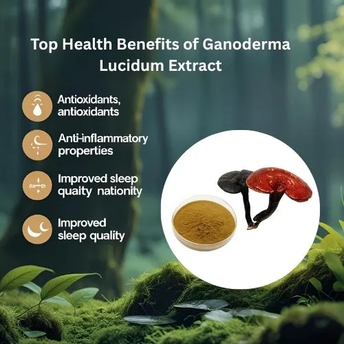 _ganoderma lucidum benefits _ganoderma lucidum benefits