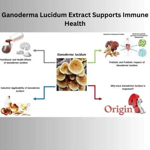 How ganoderma lucidum extract supports immune health