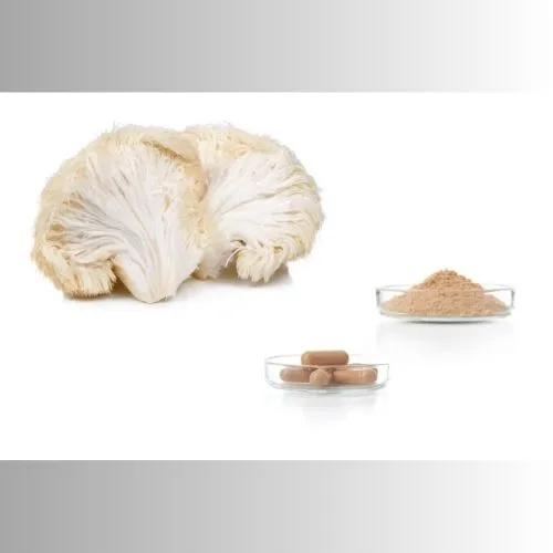 Lion's Mane