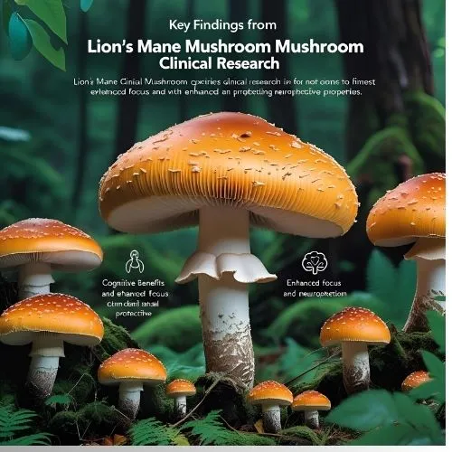 Lion's Mane clinical