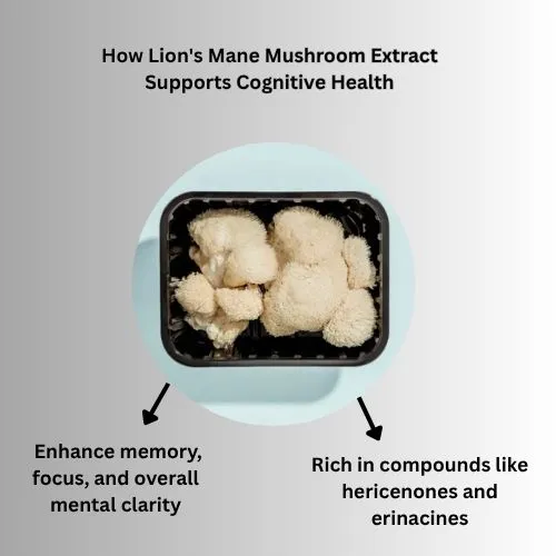 Lion's Mane cognitive
