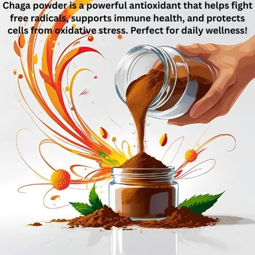 chaga powder antioxidant