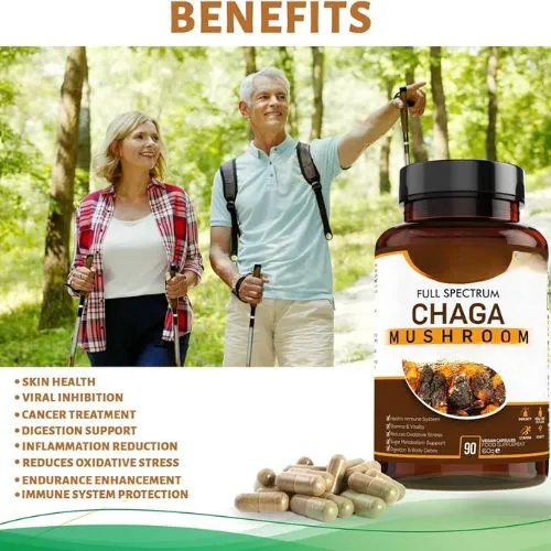 chaga benefits
