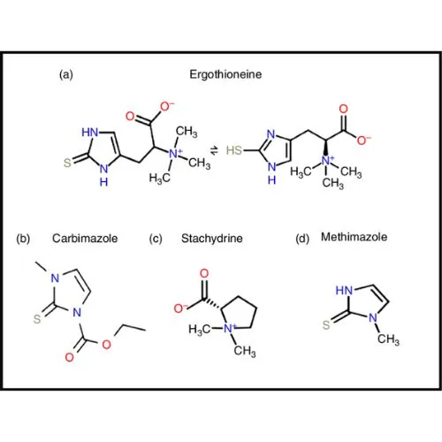 Ergothioneine 2025 Ergothioneine 2025