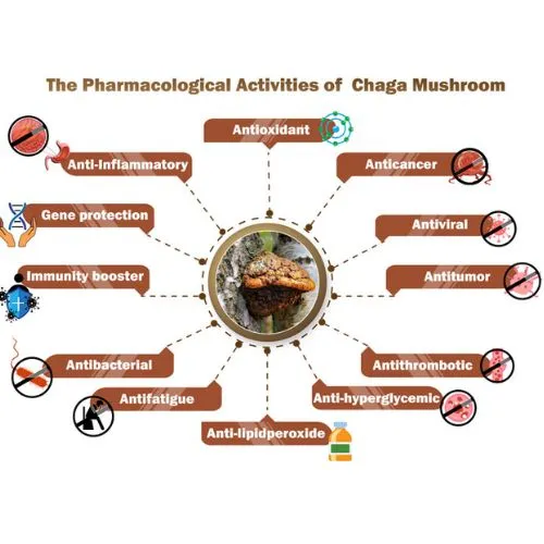 chaga results
