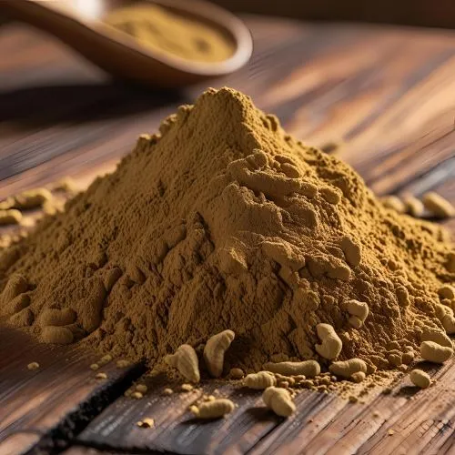 ganoderma1