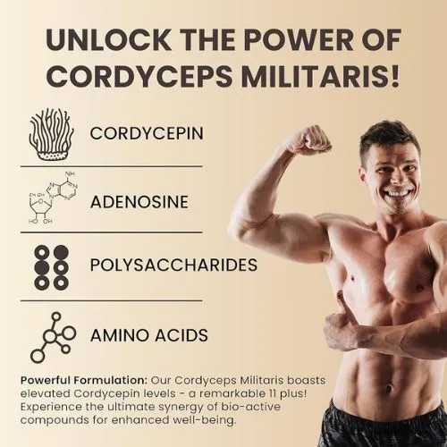 boost cordyceps