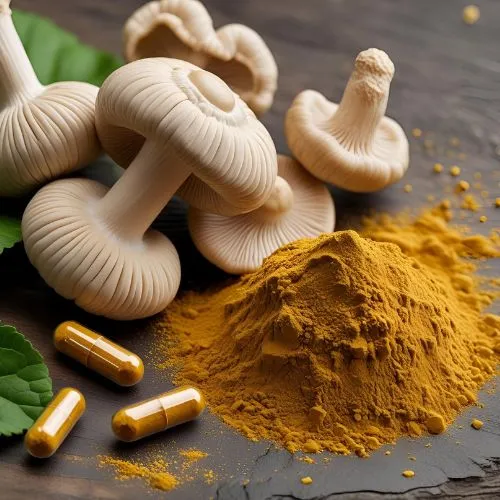 shiitake powder vs capsule