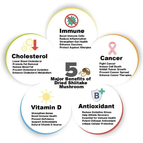 shiitake powder1 shiitake powder1