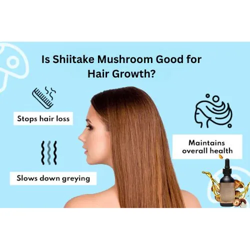 shiitake powder  for hair
