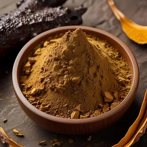 Chaga Extract powder Chaga Extract powder
