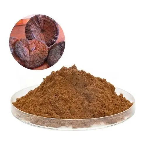 ganoderma powder