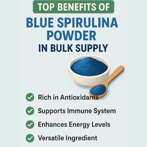 Top Benefits of Blue Spirulina Powder in Bulk Supply