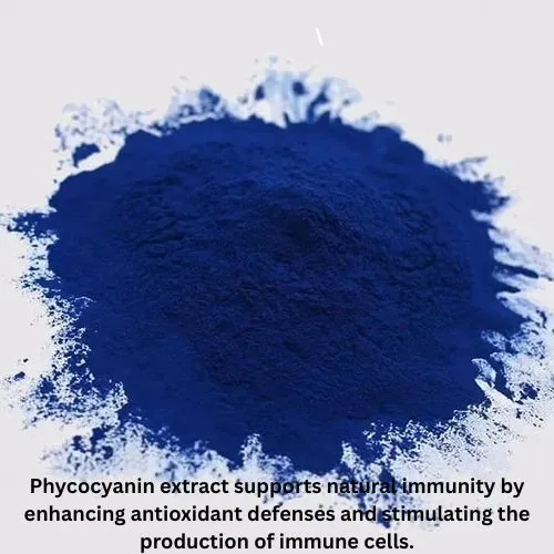 Phycocyanin powder2 Phycocyanin powder2