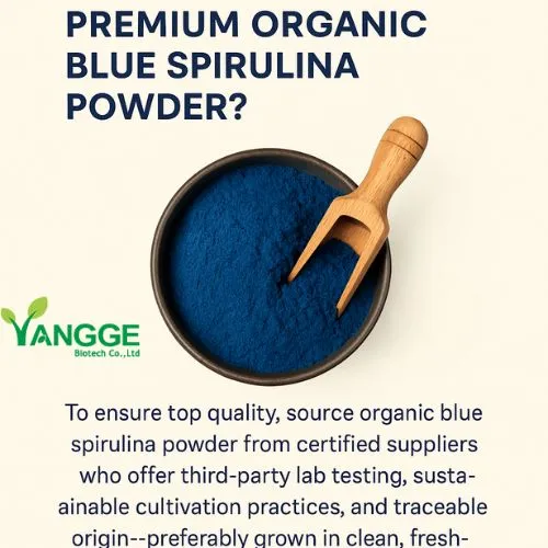 organic blue spirulina 3 organic blue spirulina 3