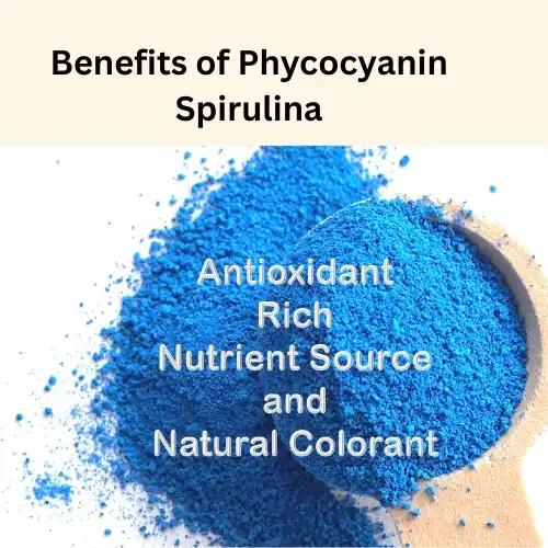 Phycocyanin benefits