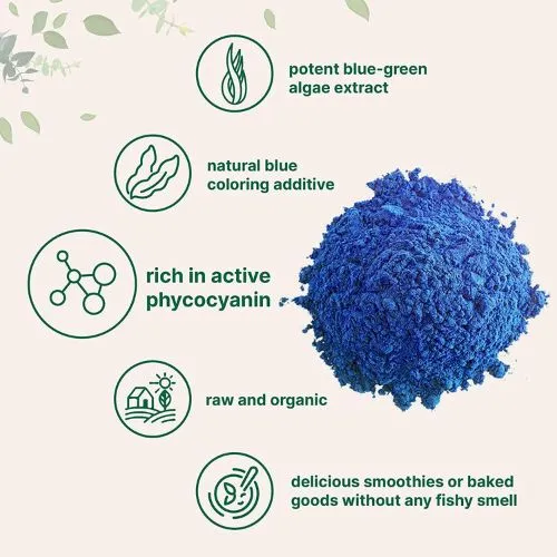 Why Immunity Brands Use Phycocyanin Spirulina?