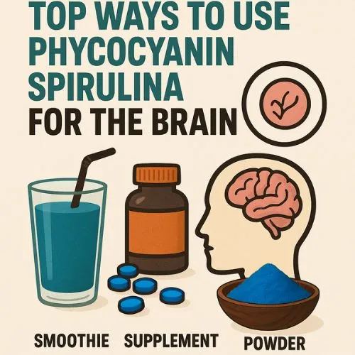 spirulina for brain 1 spirulina for brain 1
