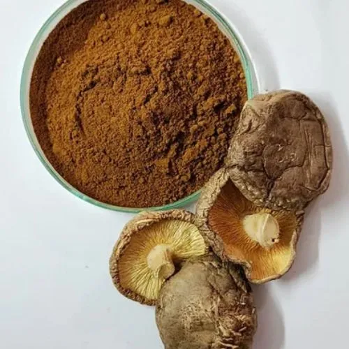 Shiitake Mushroom 4