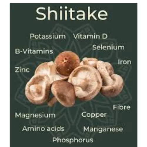shiitake extract benefits
