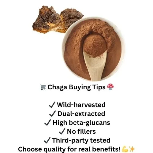 Chaga Extractbuying tips Chaga Extractbuying tips